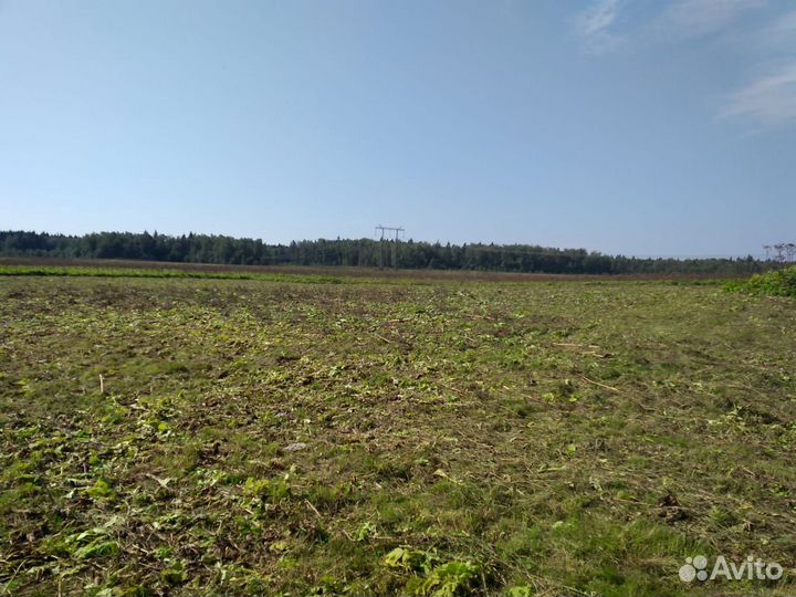 Покос травы трактором