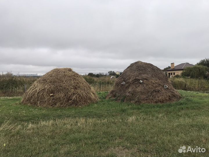 Сено луговое