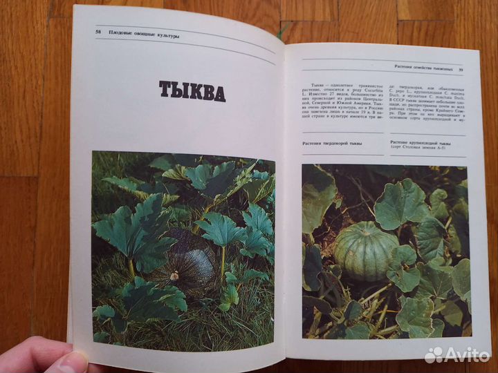 Альбом-справочник 