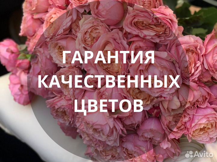 Доставка Роз Цветы с доставкой Букеты с доставкой