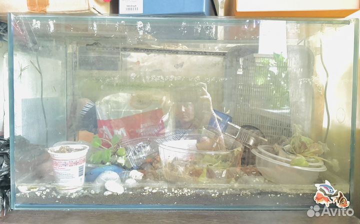Аквариум на 100 литров