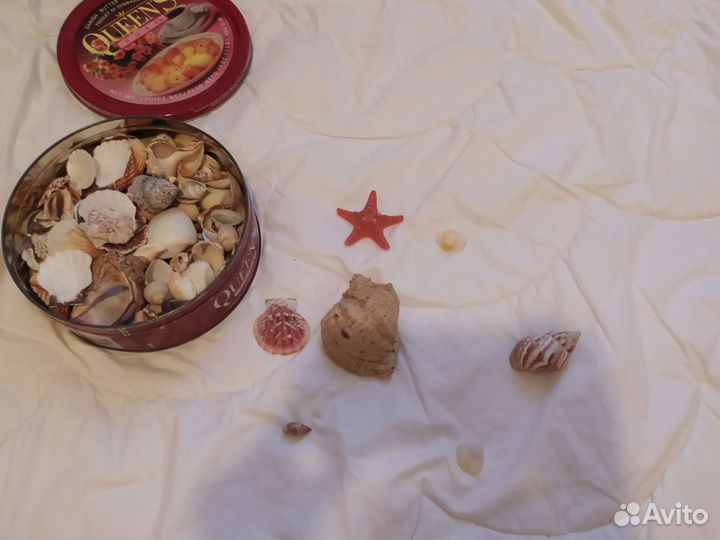 Набор ракушек для творчества