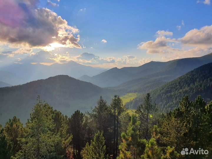 Охота на Алтае. Тур на 6 дней