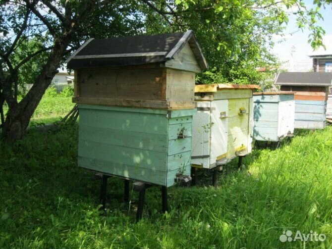 Ульи в полном комплекте с рамками