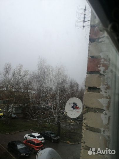 Тарелка Триколор