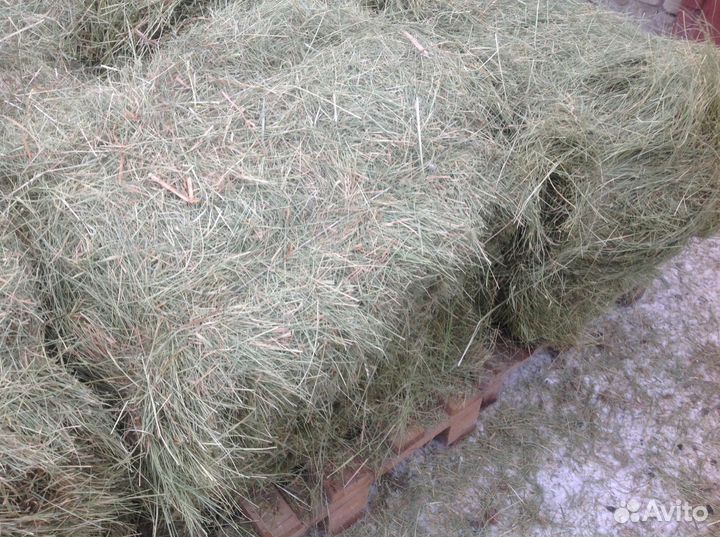 Сено тюкованое