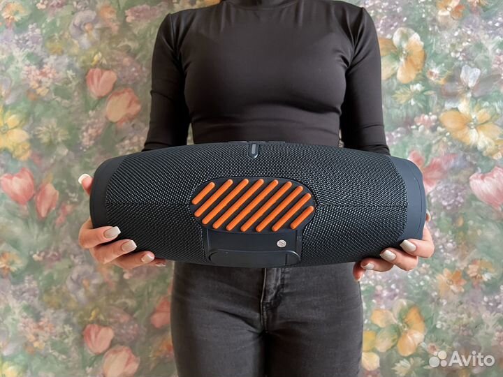 Колонка мощная 30 Вт