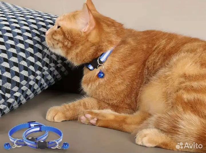 Ошейник для кошек