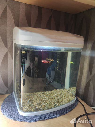 Аквариум