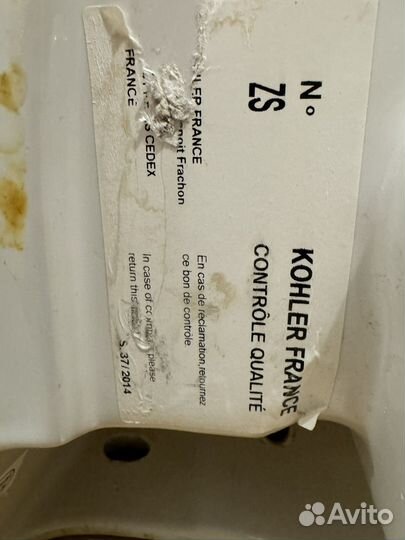 Раковина тюльпан