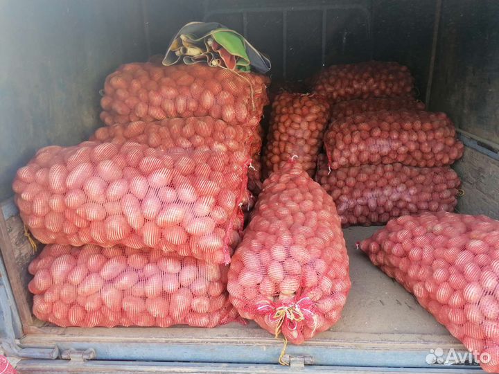 Продам картофель