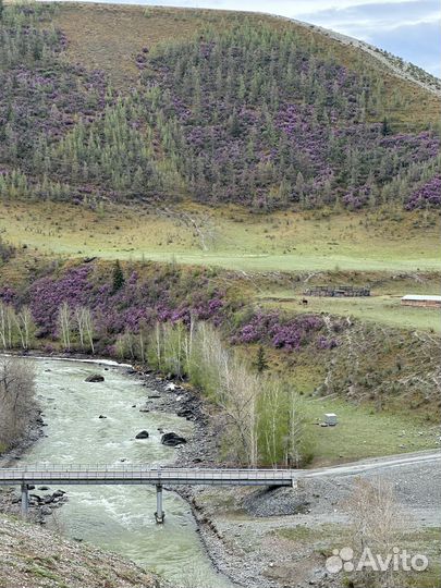 Джип-тур по Алтаю