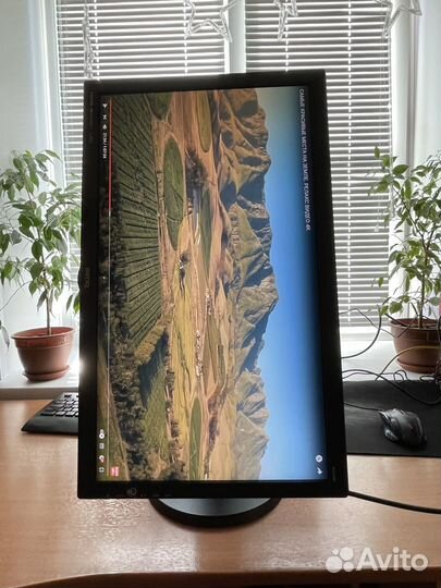 Монитор Benq 24 дюйма bl2405ht