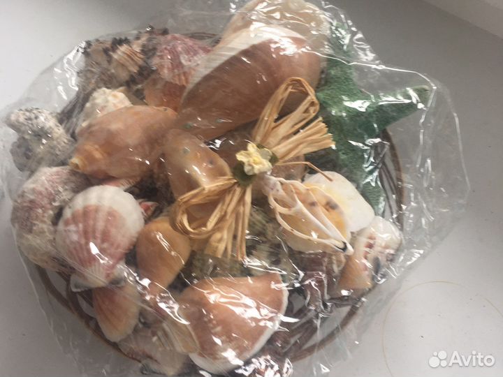 Морские ракушки