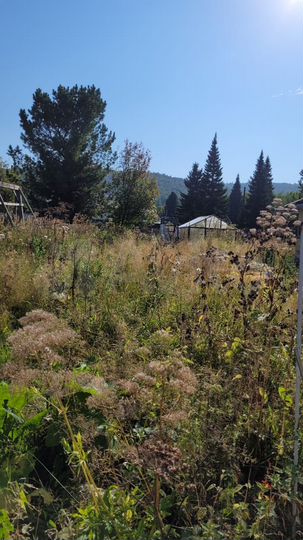 Дача 42,3 м² на участке 10 сот.