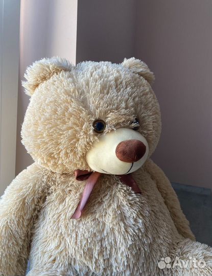 Плюшевый медведь