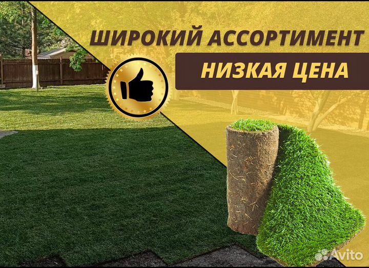 Рулонный газон доставка укладка Элитный