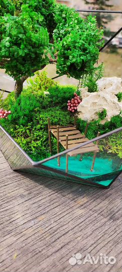 Флорариум моссариум подарок