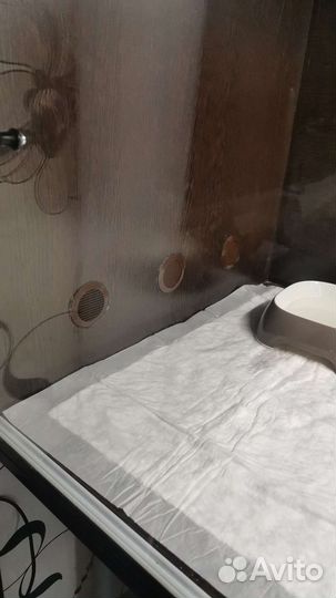 Террариум для змеи