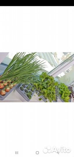 Грядки без земли