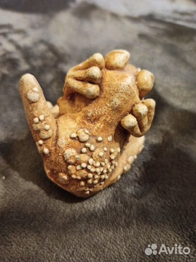 Сувенир лягушка