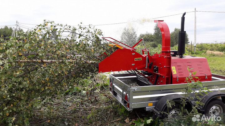 Вывоз веток и спиленных деревьев