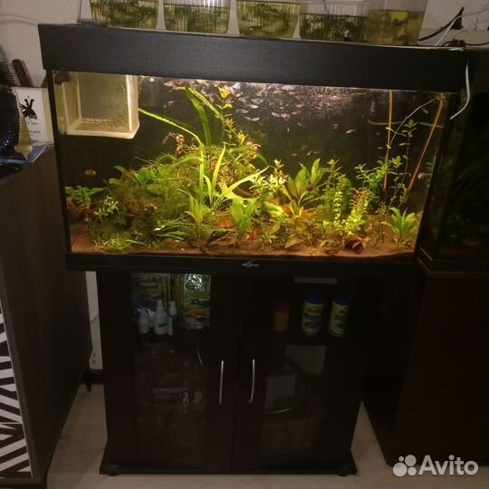 Аквариум Биодизайн 150л