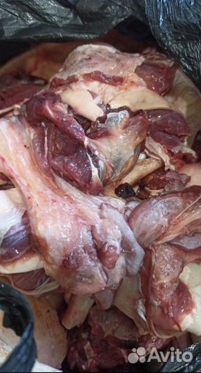 Обрезь говяжья