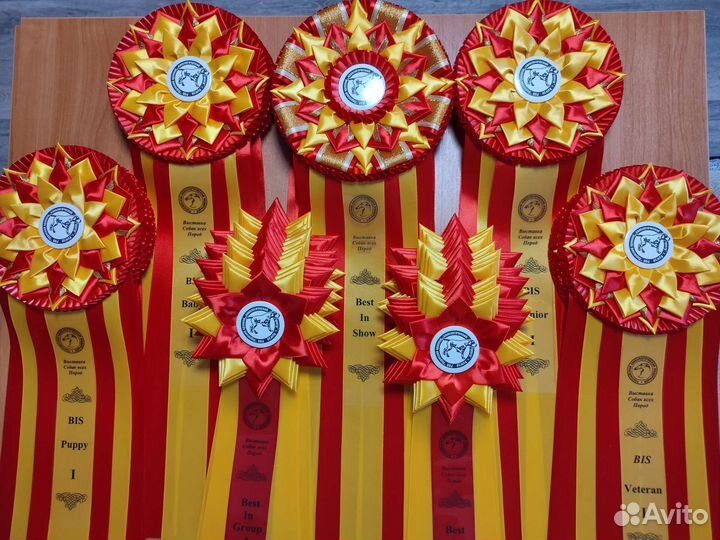 Наградные розетки для выставок