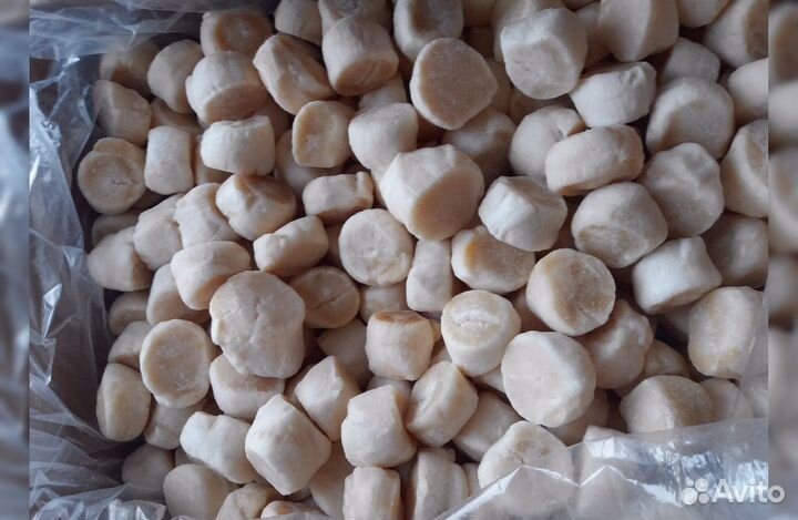 Гребешок Сахалин