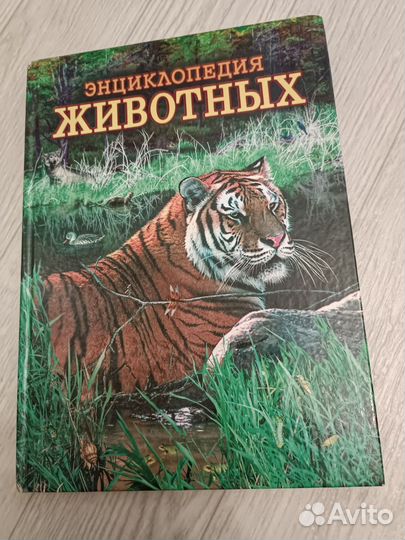 Энциклопедия для детей