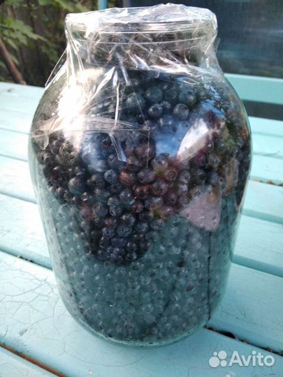 Черника свежая