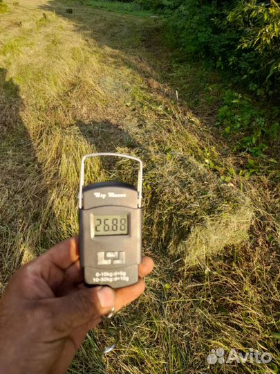 Сено в тюках