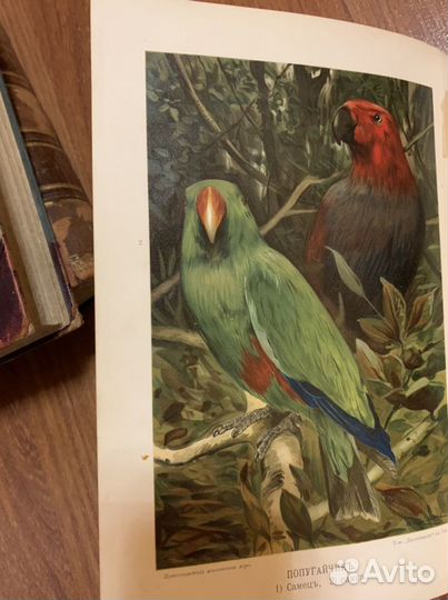 Старинные книги