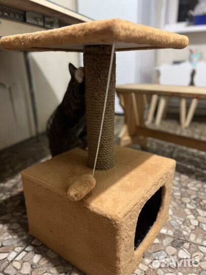 Домик для кошки