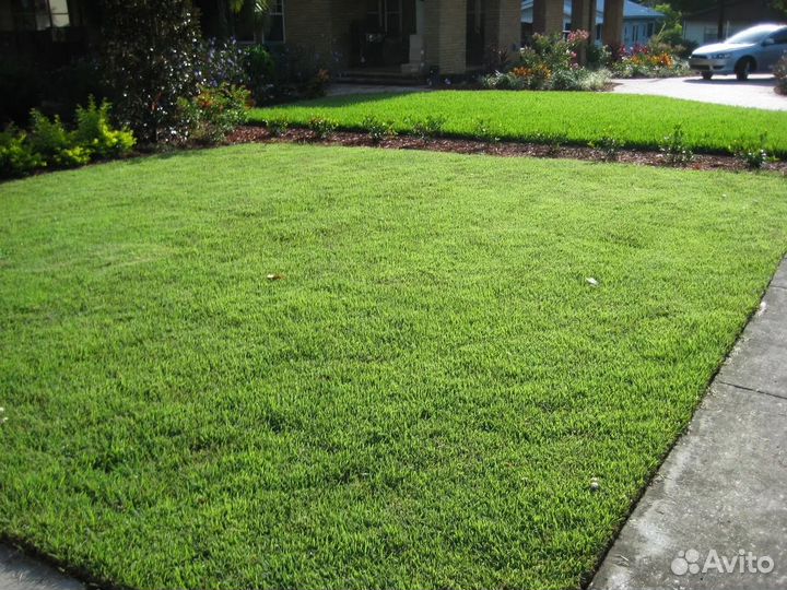 Газоны под ключ, озеленение, благоустройство