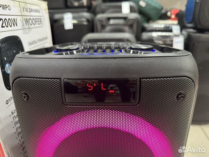 Мощная колонка Eltronic 20-12 120Вт