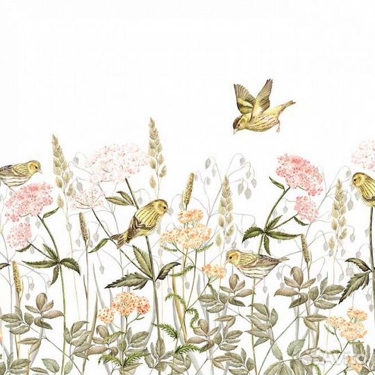 Детские фотообои 