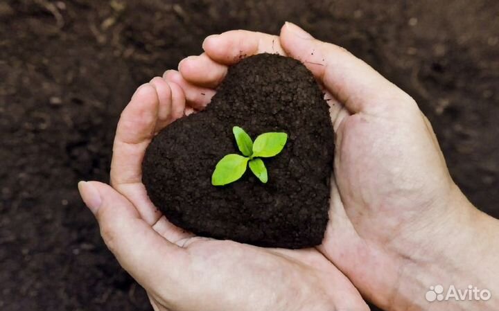 Трехкомпонентный грунт