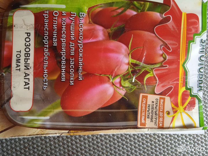 Рассада помидор