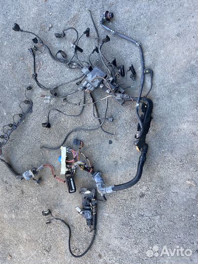 Проводка двс BMW 5 E60-61 3.0D. 2009г