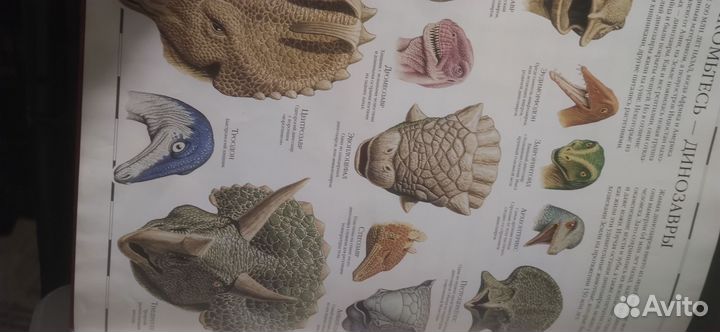 Атлас динозавров Уильям Линдсей Дорлинг Киндерсли