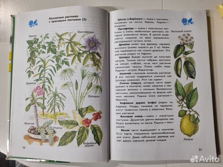 Атлас- определитель от земли до неба 1-4 класс