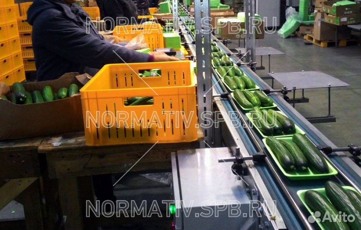 Разнорабочий на производство 45/15 вахта