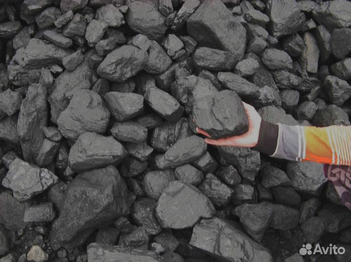 Дрова из лучших пород дерева для вашего очага