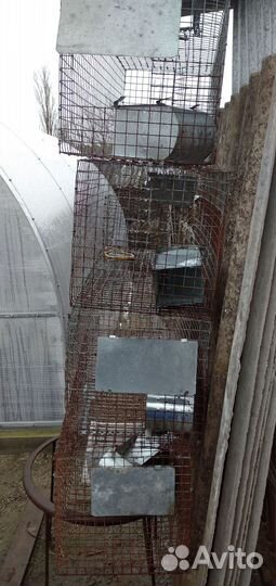 Клетки для животных