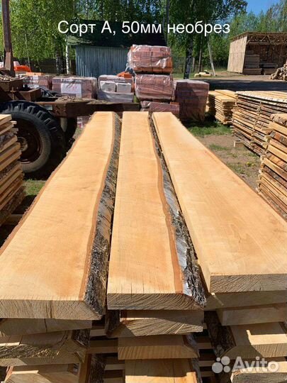 Доска берёзовая обрезная и необрезная