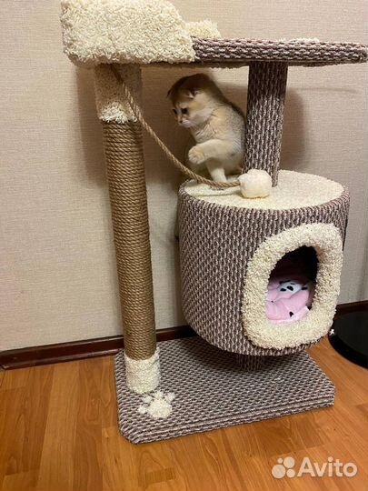 Домик для кошки