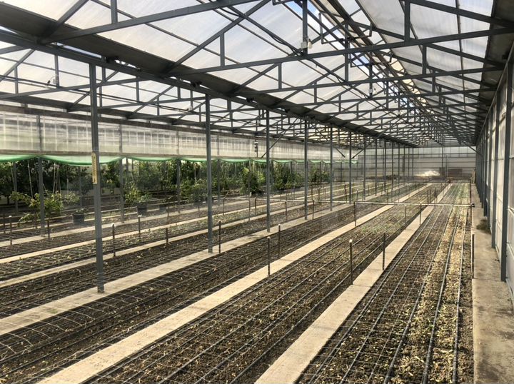 Теплицы, 4000 м ² С домом. Обмен на автомобил