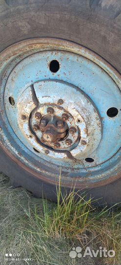 Трактор МТЗ (Беларус) 50, 1980